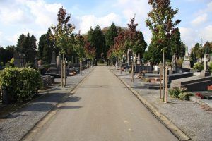 Pictures of the city of Brussels